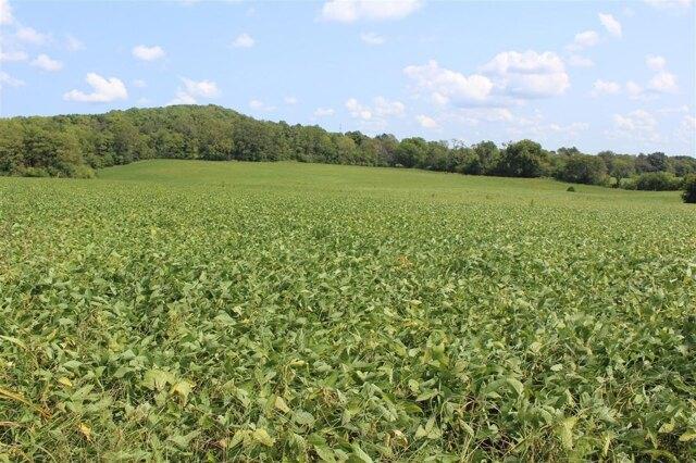 Plot For Sale In Horse Cave, Kentucky