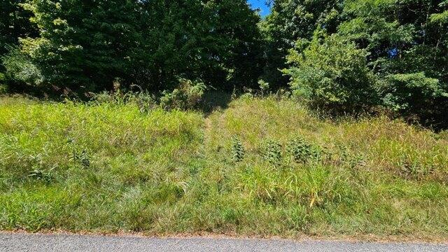 Plot For Sale In Aurora, Indiana