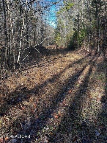 Plot For Sale In Vonore, Tennessee