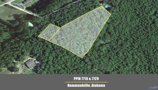 Plot For Sale In Hammondville, Alabama