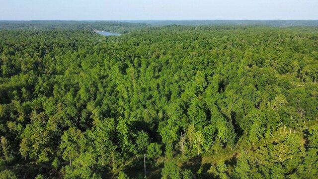 Plot For Sale In Parsons, Tennessee