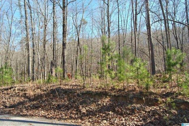 Plot For Sale In Ashville, Alabama