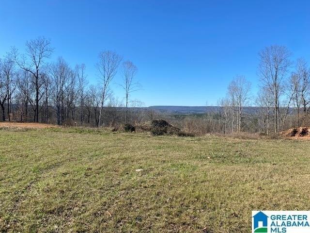Plot For Sale In Springville, Alabama