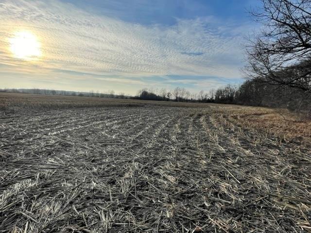 Plot For Sale In San Pierre, Indiana