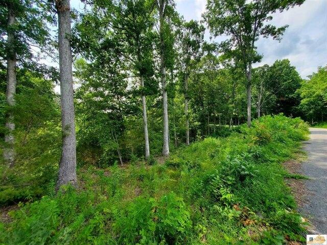 Plot For Sale In Campbellsville, Kentucky