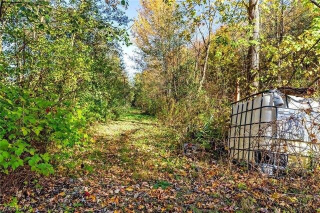 Plot For Sale In Jefferson, Ohio