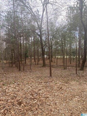 Plot For Sale In Maplesville, Alabama