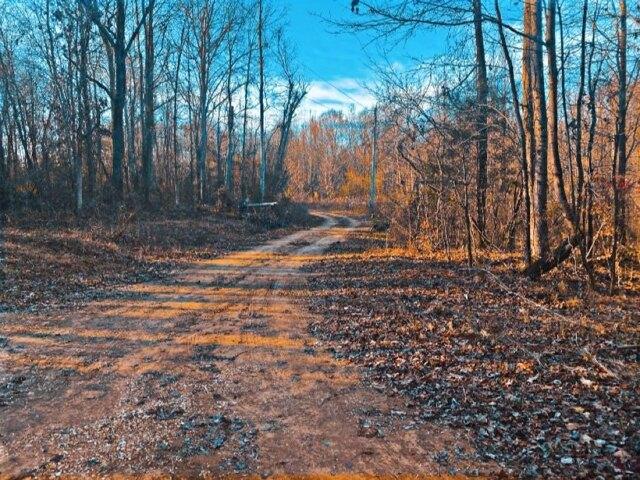 Plot For Sale In Wildersville, Tennessee