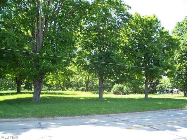 Plot For Sale In Rittman, Ohio