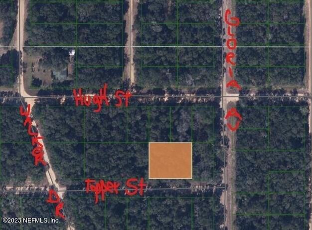 Plot For Sale In Topper Saint, Florida