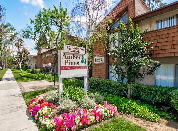330 Amber Ct Upland, CA - Apartments For Rent