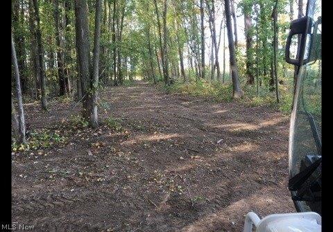 Plot For Sale In Madison, Ohio