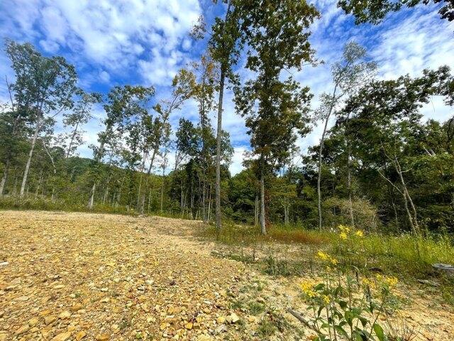 Plot For Sale In Meigs Township, Ohio