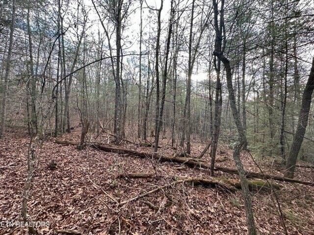 Plot For Sale In Deer Lodge, Tennessee