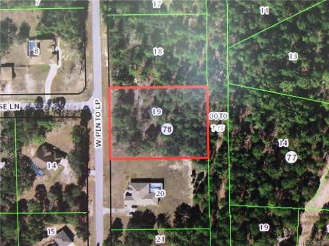 Plot For Sale In Beverly Hills, Florida
