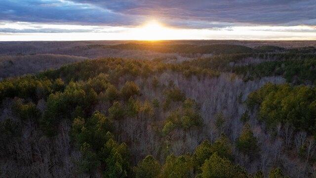 Plot For Sale In Holladay, Tennessee