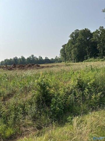 Plot For Sale In Elkmont, Alabama