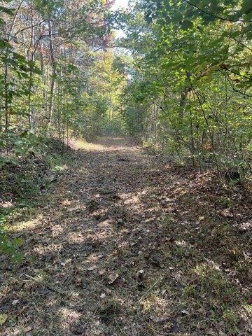 Plot For Sale In Mckee, Kentucky