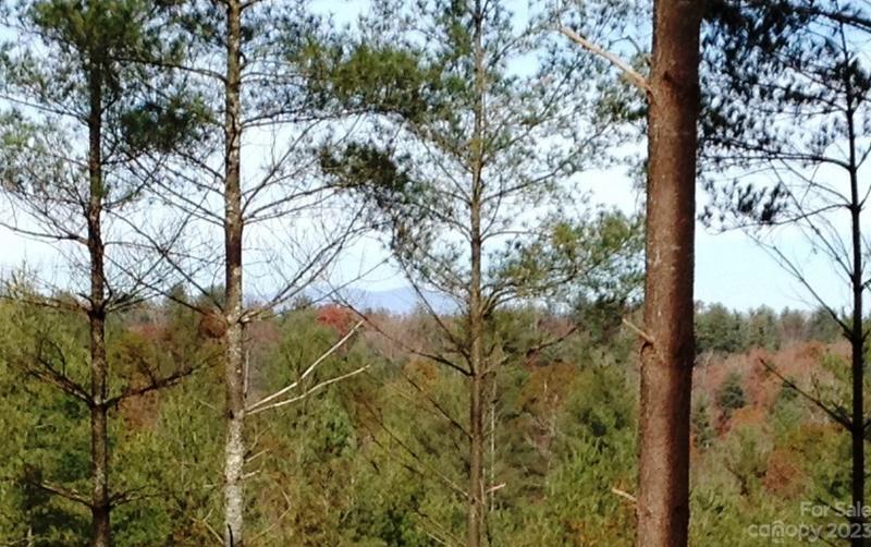 2313 Waterside Blvd NW #52, Valdese, NC 28690 - MLS 4034478 for Sale