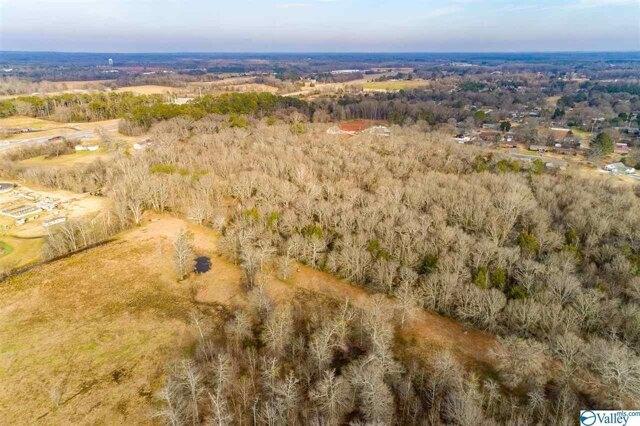 Plot For Sale In Moulton, Alabama
