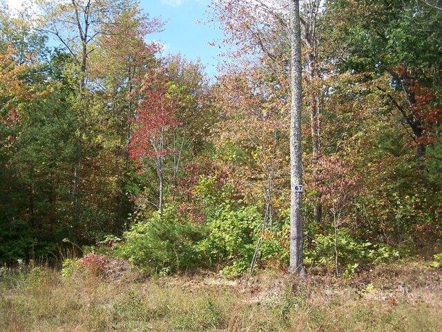 Plot For Sale In Altamont, Tennessee