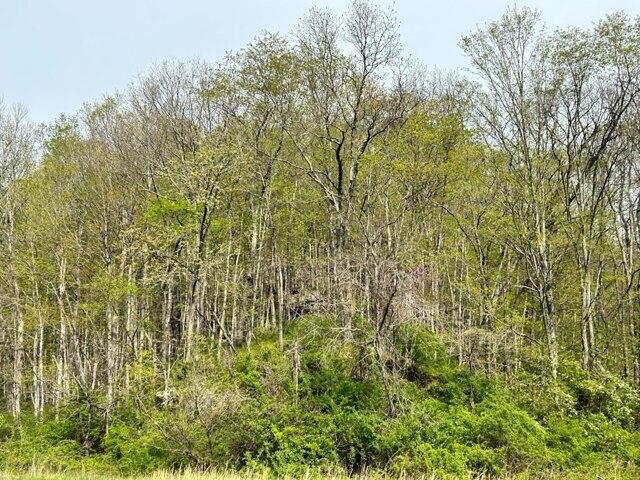 Plot For Sale In Wilkesville, Ohio