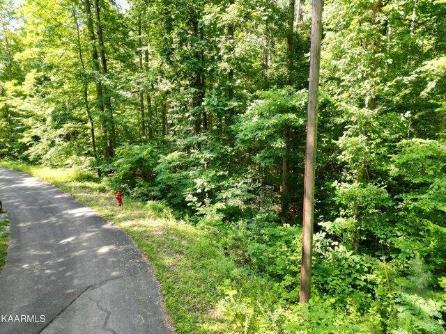 Plot For Sale In Madisonville, Tennessee