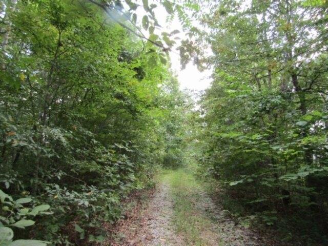 Plot For Sale In Celina, Tennessee