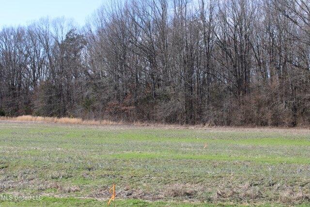 Plot For Sale In Ashland, Mississippi
