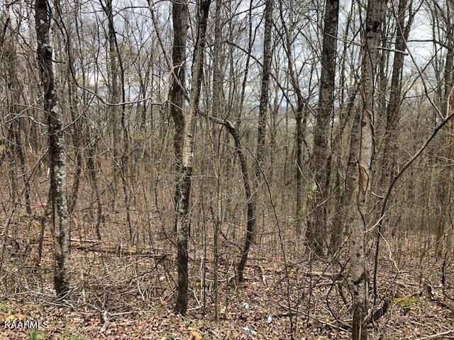 Plot For Sale In Spring City, Tennessee