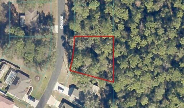 Plot For Sale In Silver Springs, Florida