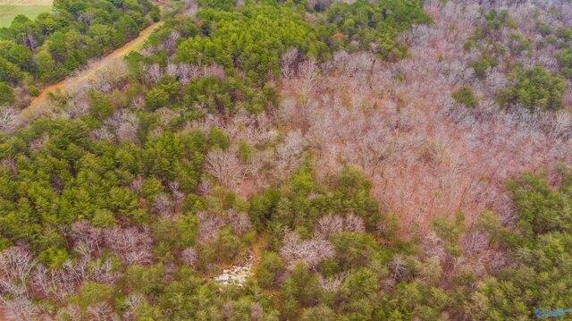 Plot For Sale In Fort Payne, Alabama