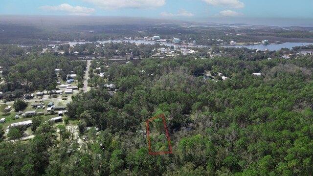 Plot For Sale In Steinhatchee, Florida