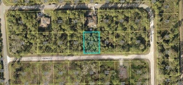 Plot For Sale In Lehigh Acres, Florida