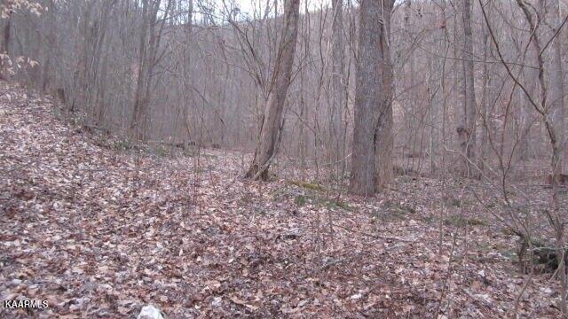 Plot For Sale In Sneedville, Tennessee