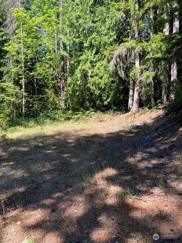 531 N Dow Mountain Rd, Hoodsport, WA 98548 - MLS 2151845 for Sale