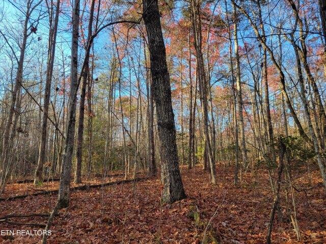 Plot For Sale In Monterey, Tennessee