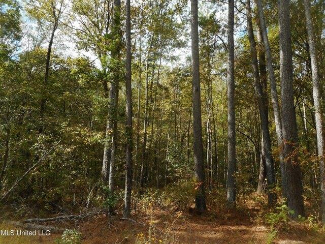 Plot For Sale In Brandon, Mississippi