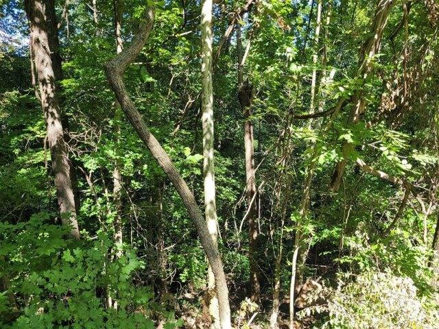 Plot For Sale In Graham, Kentucky