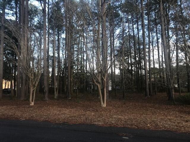 Plot For Sale In Barnwell, South Carolina