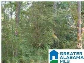 Plot For Sale In Alpine, Alabama