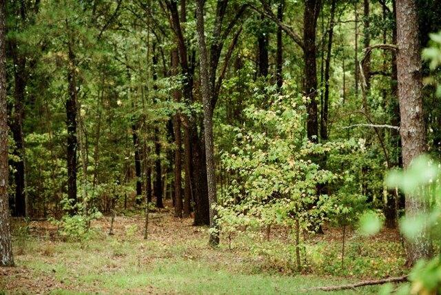 Plot For Sale In Oxford, Mississippi