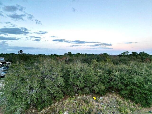 Plot For Sale In Poinciana, Florida