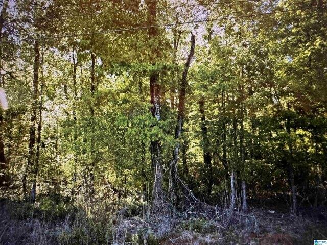 Plot For Sale In Birmingham, Alabama