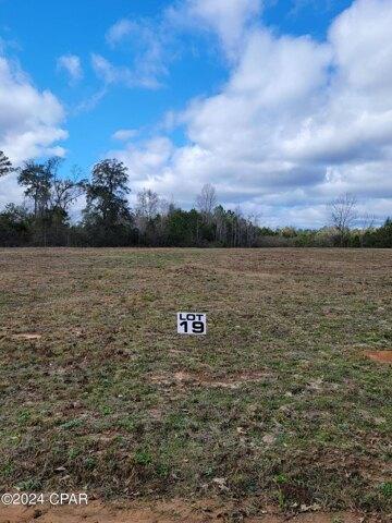 Plot For Sale In Bonifay, Florida
