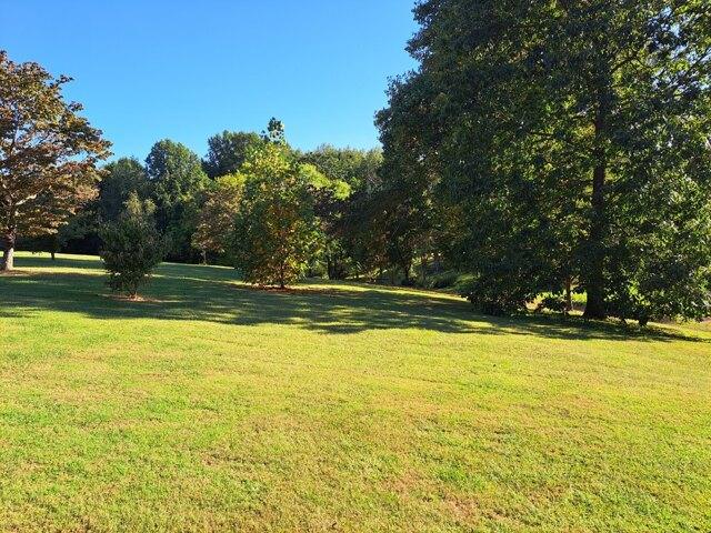 Plot For Sale In Lafayette, Tennessee