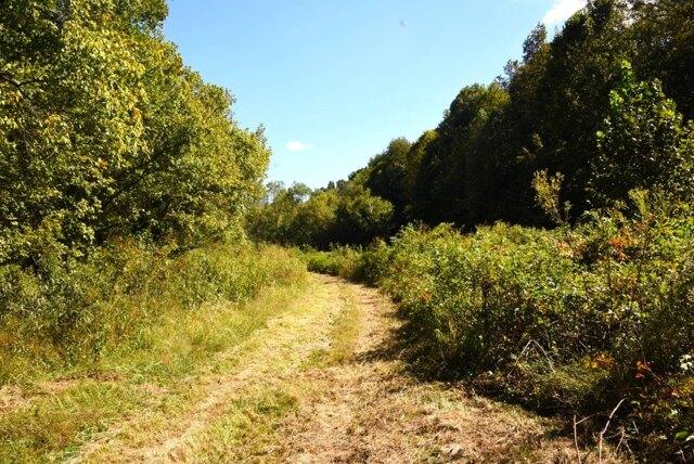 Plot For Sale In Edmonton, Kentucky