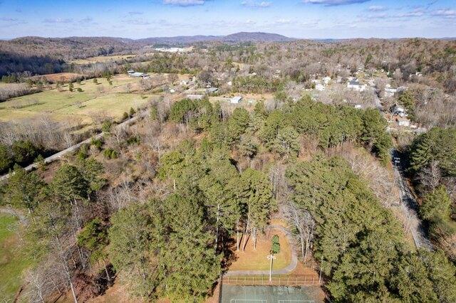 Plot For Sale In Apison, Tennessee