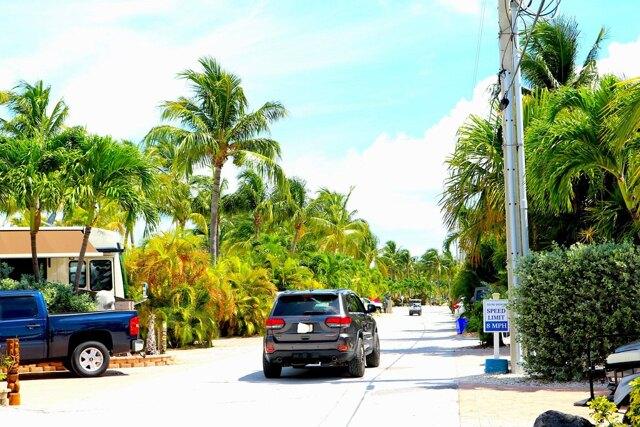 Plot For Sale In Saddlebunch, Florida