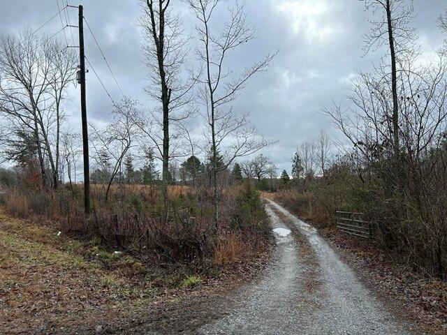 Plot For Sale In Blacksburg, South Carolina